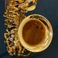 YAMAHA YAS-875EXG #G00102_9