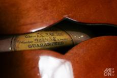 Gibson ES-335TDC 1968 #901438_7