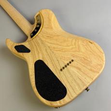 Washburn NELE DELUXE_5