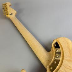 Washburn NELE DELUXE_7