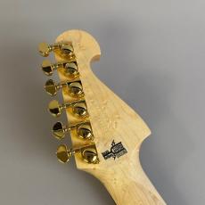 Washburn NELE DELUXE_8