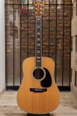 Martin D-45 / 1979_2