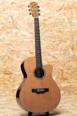 Morris S-102 III_3