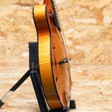 Collings MF5 2012_4