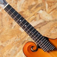 Collings MF5 2012_6