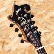 Collings MF5 2012_8