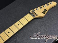 ESP Custom Order TE FRT CTM 2001 Royal Silver Sparkle /Ash /H-Maple w/Junction-SS & FK P.U "One Of Kind"_11