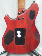 EVH Wolfgang Standard Exotic Zebrawood -Natural-【アウトレット品】 【軽量3.18kg!】_4