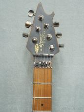 EVH Wolfgang Standard Exotic Zebrawood -Natural-【アウトレット品】 【軽量3.18kg!】_6