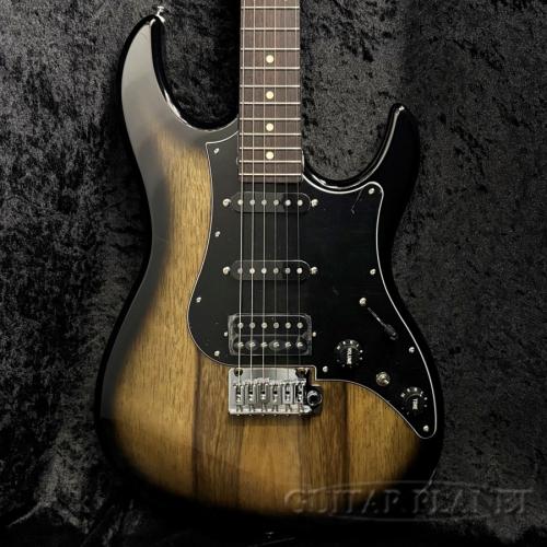 FUJIGEN JOS2-TD-EW1-R DMT 【スポット生産モデル】