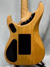 Washburn N4 Original -Natural- 2009年製【軽量3.23kg】【Original Floyd Rose】_3