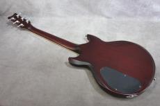 Ibanez AXS42_2
