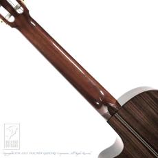 ASTURIAS Solo Classico S_6