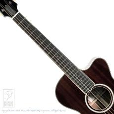 Switch SL-2 Bee_5