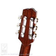 Switch NJ-70C RW -Nylon Jazz-  (Trans Black Top)【60回無金利対象品】_8