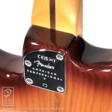 FENDER USA American Professional II Stratocaster Sienna Sunburst_14