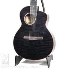 aNueNue aNN-LN77E (Nylon Strings)