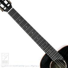 aNueNue aNN-LN77E (Nylon Strings)_5