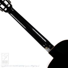 aNueNue aNN-LN77E (Nylon Strings)_6