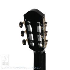 aNueNue aNN-LN77E (Nylon Strings)_8
