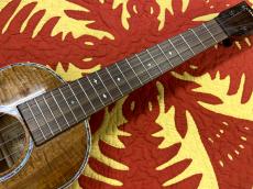 Majesty MT-4KNP【アキオオリジナル】_4