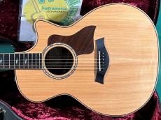 Taylor 814ce_2