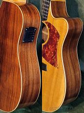 Cole Clark FL2ACR Fat Lady Custom "Gloss Finish" -2013USED-【48回迄金利0%対象】_4