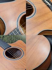 Taylor Custom GS "Tasmanian Tiger Myrtle" -2013USED-【48回迄金利0%対象】_11
