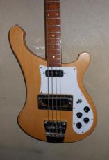 FERNANDES RICKEN COPY_2