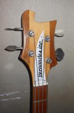 FERNANDES RICKEN COPY_4