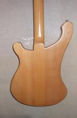 FERNANDES RICKEN COPY_7