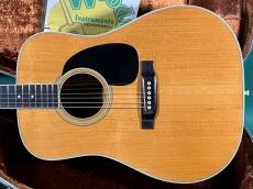 Martin D-35_2