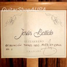 Jesus Bellido[ヘスス・べジード] トーレスモデル(recreation of 1883  SE54) _5