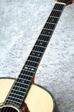 Terry's Terry Premium Terry PTJ-100 AM #79【48回無金利】_4