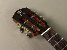 aNueNue AAA3 Tenor_5
