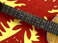 Majesty MC-4KNP【アキオオリジナル】_3