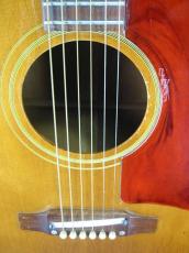 Gibson J-50 / Large guard・Jacaranda Fingerboard & Upper Belly Bridge・Adjustable Saddle・Spruce Top・Mahogany Side and Back・Neck Width at Nut 40mm【With Original Hard Case】1967年製_7