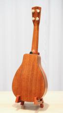 Acoustic World Vita Ukulele_3