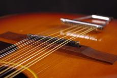 Gibson B-25-12_6