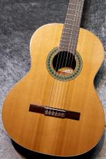 Paco Castillo / パコ・カスティージョ 【小物6点サービス!】201 杉 / サペリ #26574 【現物写真】【スペインブランド】【池袋店在庫品】