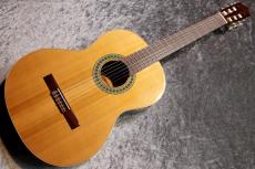 Paco Castillo / パコ・カスティージョ 【小物6点サービス!】201 杉 / サペリ #26574 【現物写真】【スペインブランド】【池袋店在庫品】_2