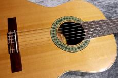 Paco Castillo / パコ・カスティージョ 【小物6点サービス!】201 杉 / サペリ #26574 【現物写真】【スペインブランド】【池袋店在庫品】_3
