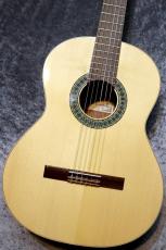 Paco Castillo / パコ・カスティージョ 【小物6点サービス!】201 松 / サペリ #26536 【現物写真】【スペインブランド】【池袋店在庫品】