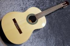 Paco Castillo / パコ・カスティージョ 【小物6点サービス!】201 松 / サペリ #26536 【現物写真】【スペインブランド】【池袋店在庫品】_2