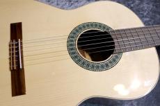 Paco Castillo / パコ・カスティージョ 【小物6点サービス!】201 松 / サペリ #26536 【現物写真】【スペインブランド】【池袋店在庫品】_3