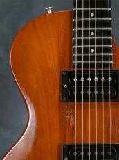 Gibson 1979 The Paul_6