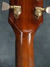 Gibson 1979 The Paul_12
