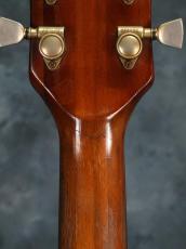 Gibson 1979 The Paul_13