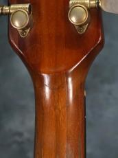 Gibson 1979 The Paul_14