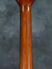 Gibson 1979 The Paul_15